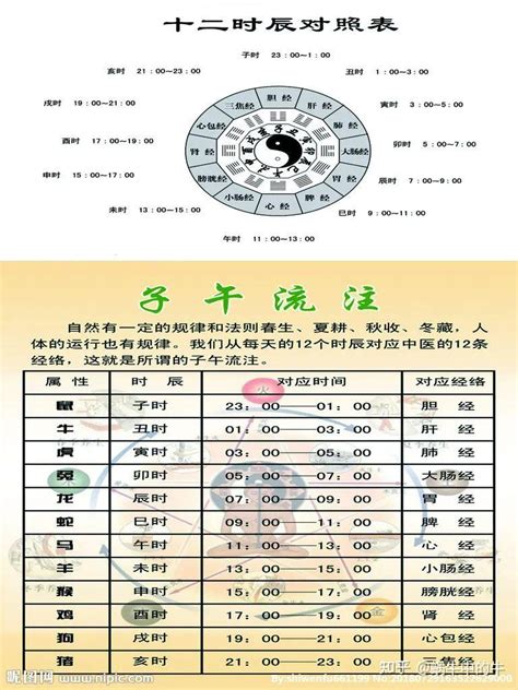 12地支時間|十二時辰對照表